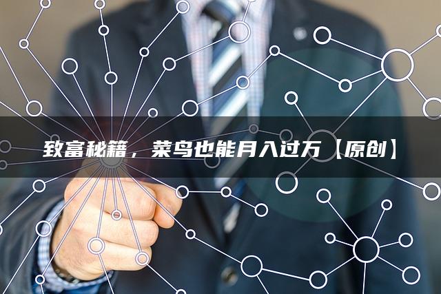 致富秘籍，菜鸟也能月入过万【原创】