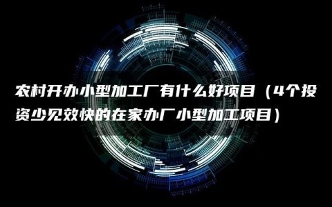 农村开办小型加工厂有什么好项目（4个投资少见效快的在家办厂小型加工项目）