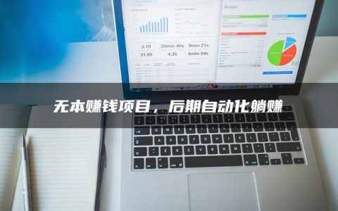 无本赚钱项目，后期自动化躺赚