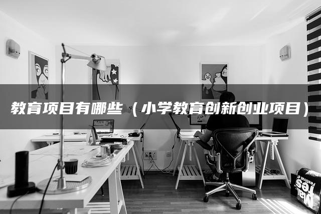 教育项目有哪些（小学教育创新创业项目）