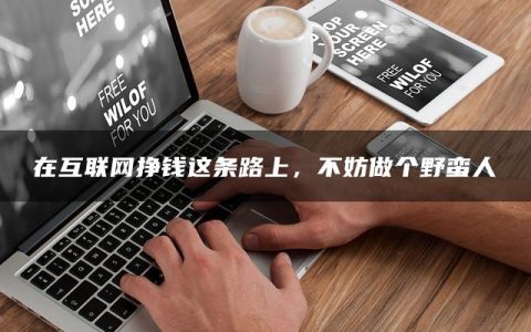 在互联网挣钱这条路上，不妨做个野蛮人