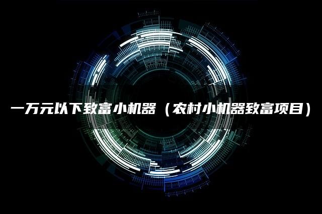 一万元以下致富小机器（农村小机器致富项目）
