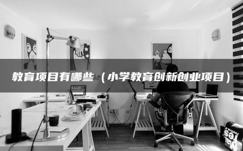 教育项目有哪些（小学教育创新创业项目）