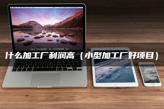 什么加工厂利润高（小型加工厂好项目）