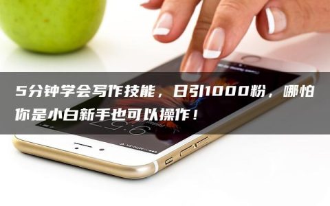 5分钟学会写作技能，日引1000粉，哪怕你是小白新手也可以操作！