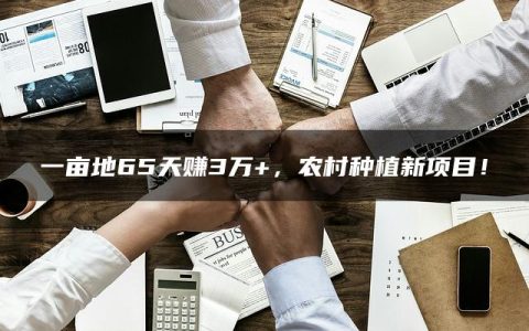 一亩地65天赚3万+，农村种植新项目！