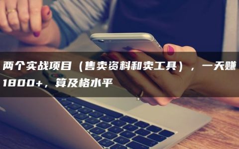 两个实战项目（售卖资料和卖工具），一天赚1800+，算及格水平