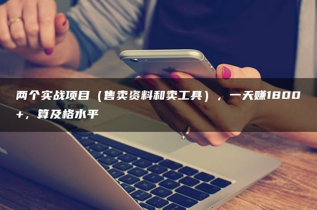 两个实战项目（售卖资料和卖工具），一天赚1800+，算及格水平