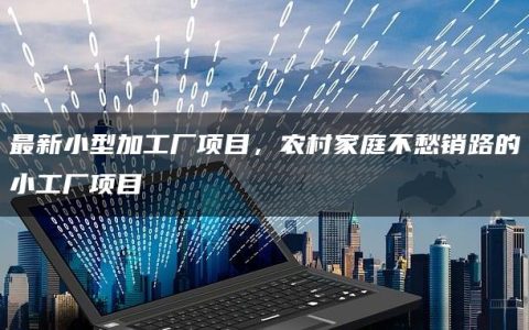最新小型加工厂项目，农村家庭不愁销路的小工厂项目