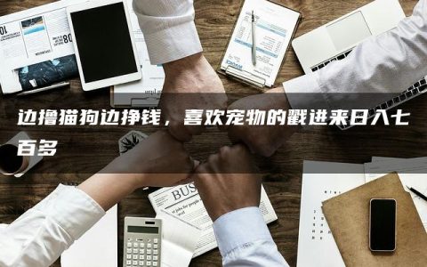 边撸猫狗边挣钱，喜欢宠物的戳进来日入七百多