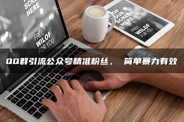 QQ群引流公众号精准粉丝， 简单暴力有效