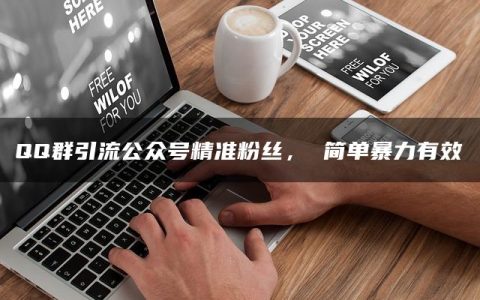 QQ群引流公众号精准粉丝， 简单暴力有效