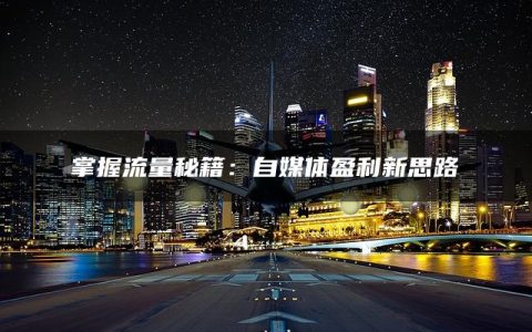 掌握流量秘籍：自媒体盈利新思路