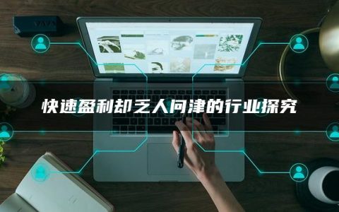 快速盈利却乏人问津的行业探究