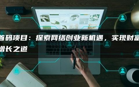 首码项目：探索网络创业新机遇，实现财富增长之道